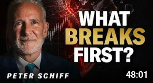 Peter Schiff: People Are Going To Panic When This Happens!